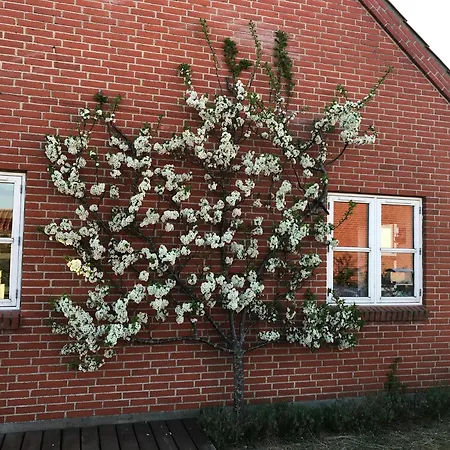 Villa Amazing On The Near Palms The Frederikshavn