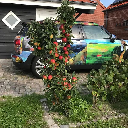 Skagen Uge 29 Bo På Stranden *